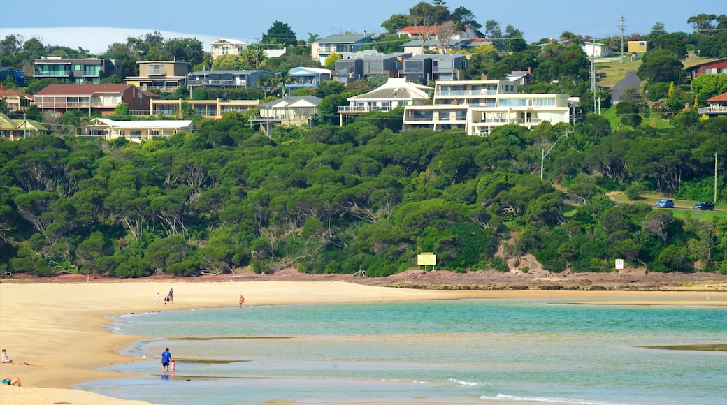 Main Beach Recreation Reserve which includes general coastal views and a beach