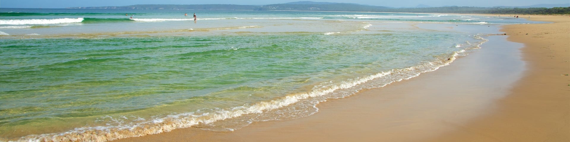 Main Beach Recreation Reserve which includes general coastal views and a sandy beach