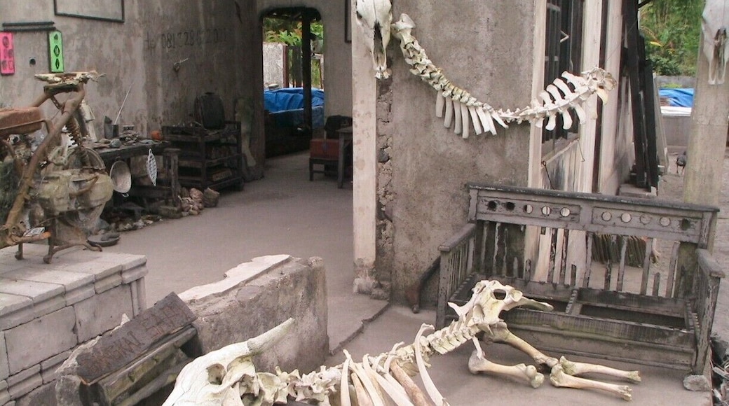 now they call this place "museum puing merapi"