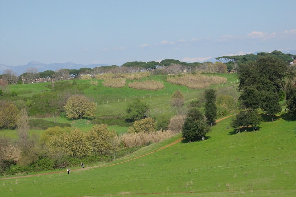 A green field with a path, trees, and distant mountains.