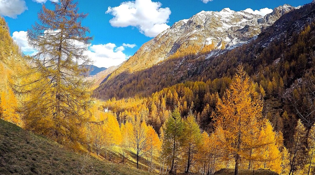 Val Vogna is a small valley that can be reached starting from Riva Valdobbia and it is located between Val d'Otro and Artogna Valley, both protected territories extreme Alta Valsesia. It is a paradise to visit, thanks to the easy walk that goes in a pristine natural setting, dotted with small villages rich in all the features conserved in time and gradually come distinct settlements of Walser culture.
These elegant examples of residential architecture give the area a special tone, with thin terraces, picturesque and linear, where Walser construction, with simple lines perimetrate the typical arcades of dark fir, expresses itself in an exclusive way.