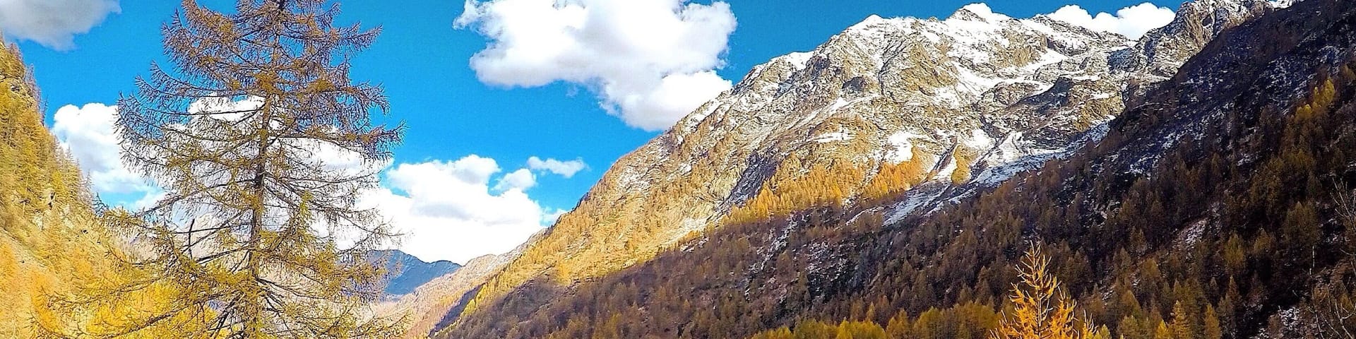Val Vogna is a small valley that can be reached starting from Riva Valdobbia and it is located between Val d'Otro and Artogna Valley, both protected territories extreme Alta Valsesia. It is a paradise to visit, thanks to the easy walk that goes in a pristine natural setting, dotted with small villages rich in all the features conserved in time and gradually come distinct settlements of Walser culture.
These elegant examples of residential architecture give the area a special tone, with thin terraces, picturesque and linear, where Walser construction, with simple lines perimetrate the typical arcades of dark fir, expresses itself in an exclusive way.