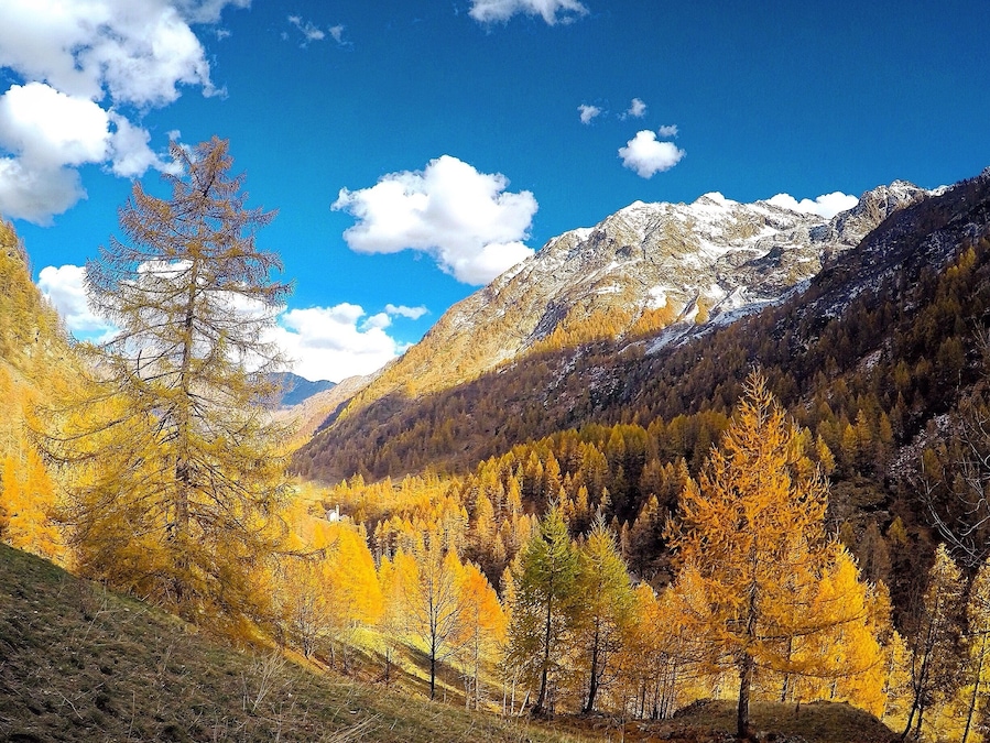 Val Vogna is a small valley that can be reached starting from Riva Valdobbia and it is located between Val d'Otro and Artogna Valley, both protected territories extreme Alta Valsesia. It is a paradise to visit, thanks to the easy walk that goes in a pristine natural setting, dotted with small villages rich in all the features conserved in time and gradually come distinct settlements of Walser culture.
These elegant examples of residential architecture give the area a special tone, with thin terraces, picturesque and linear, where Walser construction, with simple lines perimetrate the typical arcades of dark fir, expresses itself in an exclusive way.