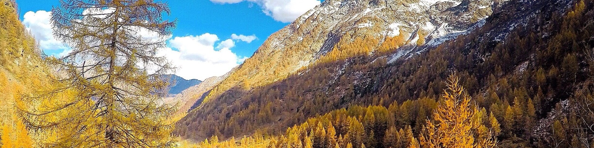 Val Vogna is a small valley that can be reached starting from Riva Valdobbia and it is located between Val d'Otro and Artogna Valley, both protected territories extreme Alta Valsesia. It is a paradise to visit, thanks to the easy walk that goes in a pristine natural setting, dotted with small villages rich in all the features conserved in time and gradually come distinct settlements of Walser culture.
These elegant examples of residential architecture give the area a special tone, with thin terraces, picturesque and linear, where Walser construction, with simple lines perimetrate the typical arcades of dark fir, expresses itself in an exclusive way.