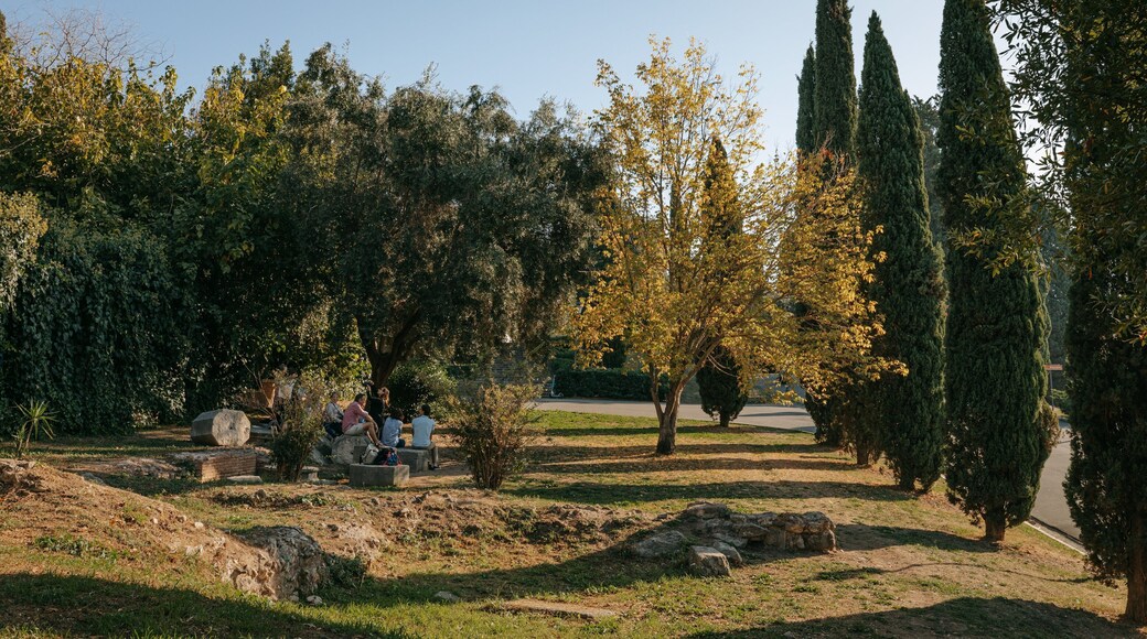 Colle Oppio Park featuring a garden