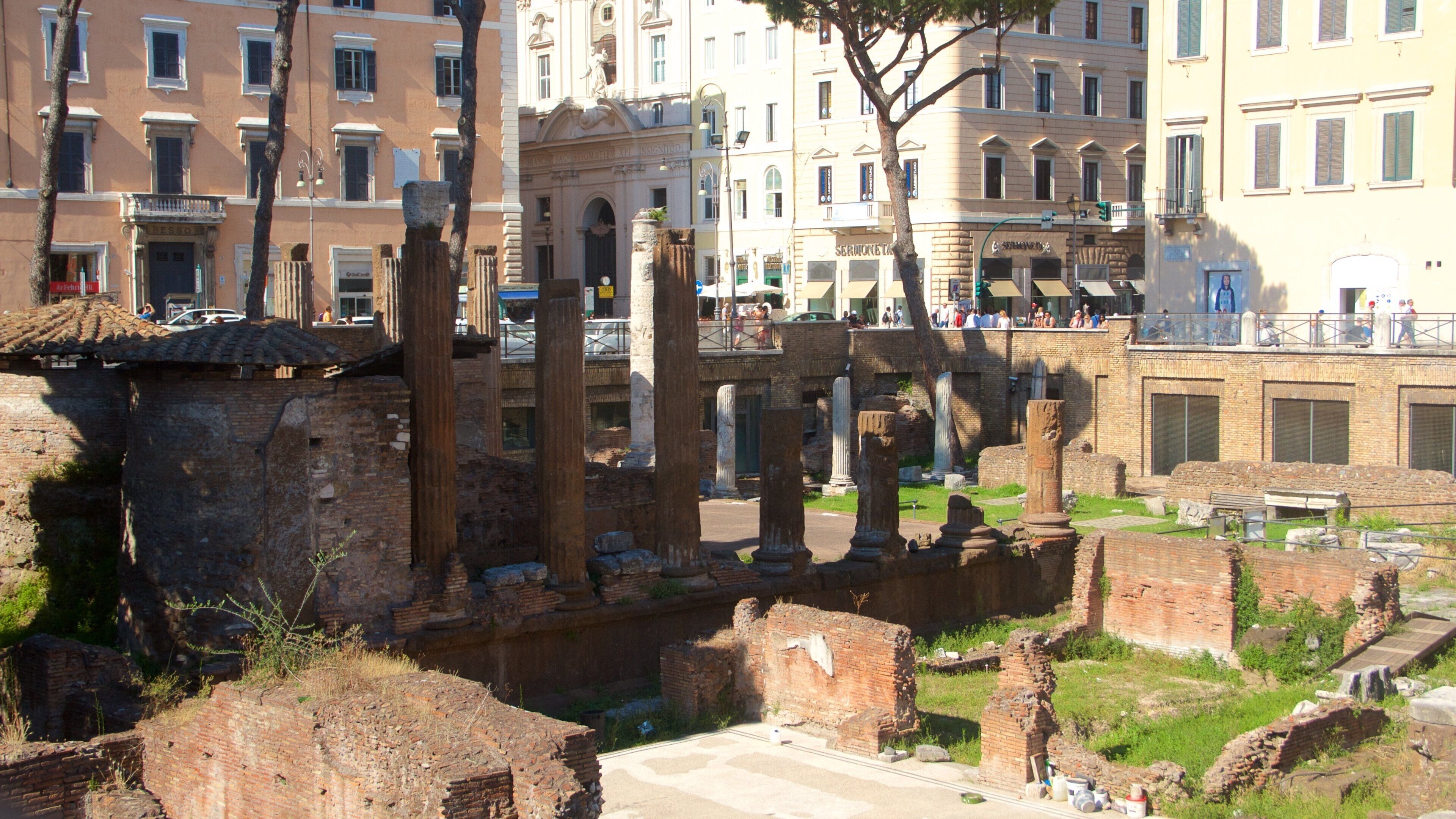 Area Sacra di Largo Argentina 设有 懷舊元素, 遺址 和 城市