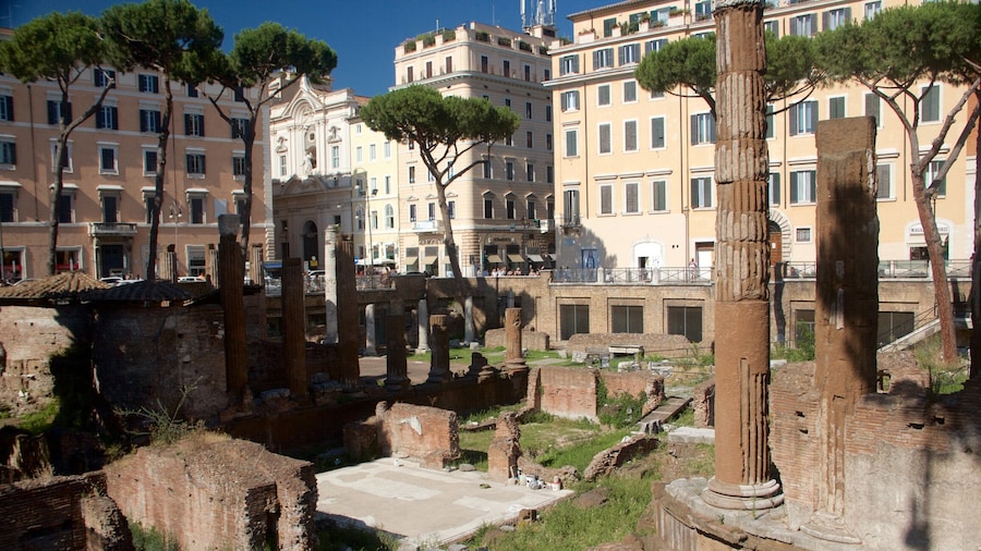 Area Sacra di Largo Argentina fasiliteter samt bygningsruiner og kulturarv