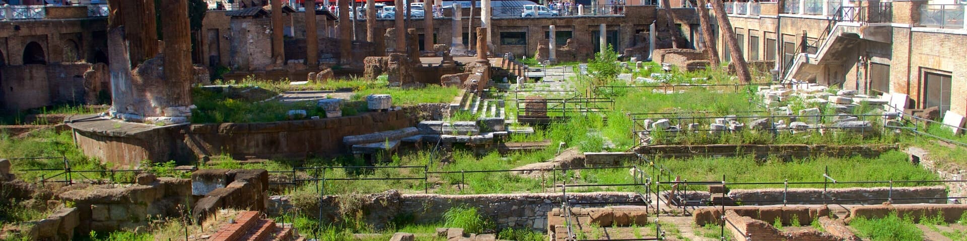 Area Sacra di Largo Argentina featuring heritage elements and building ruins