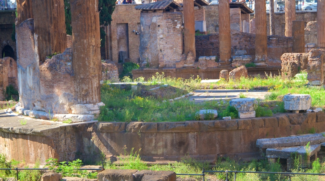 Area Sacra di Largo Argentina featuring heritage elements and a ruin
