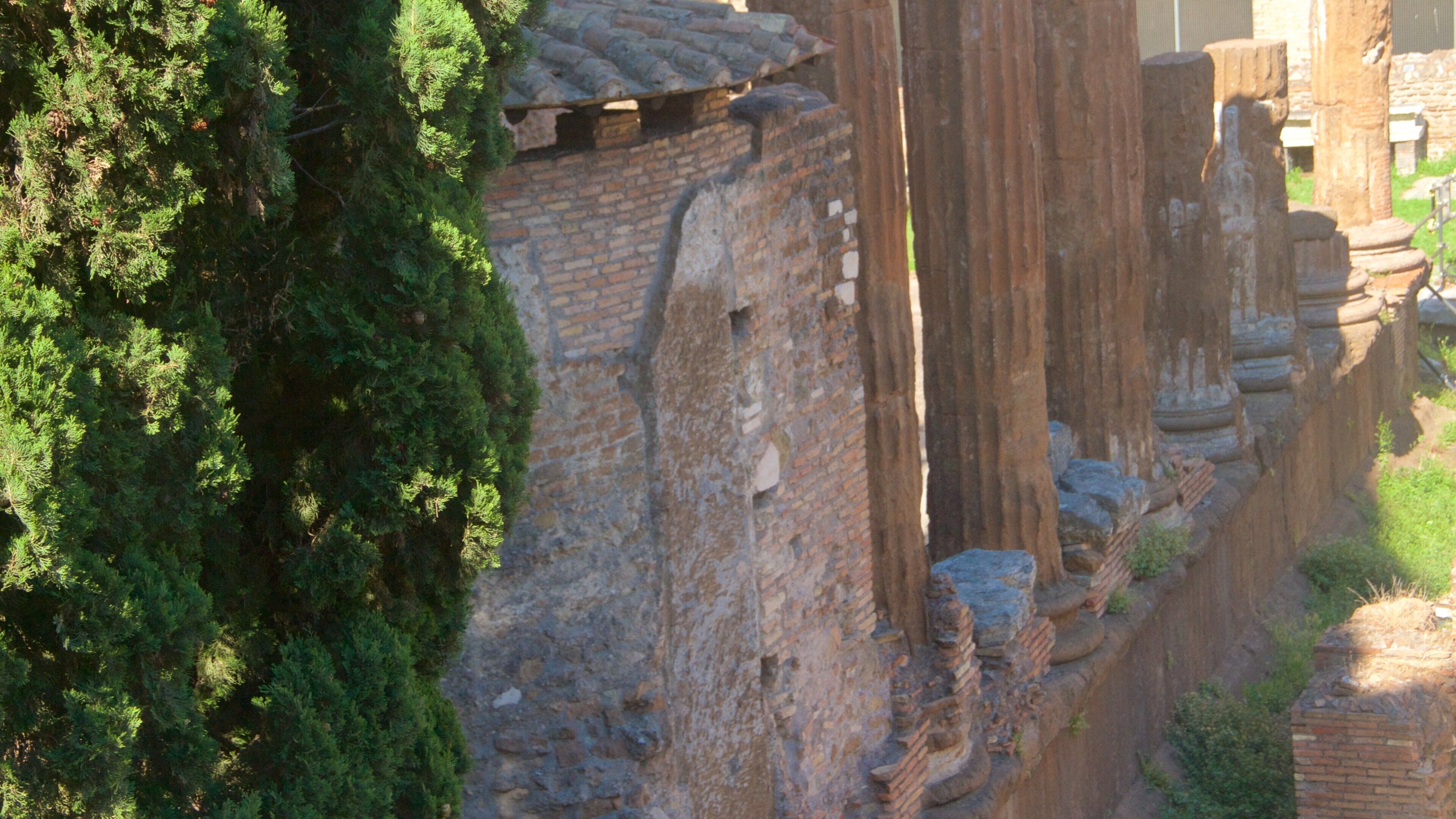 Largo di Torre Argentina featuring a ruin