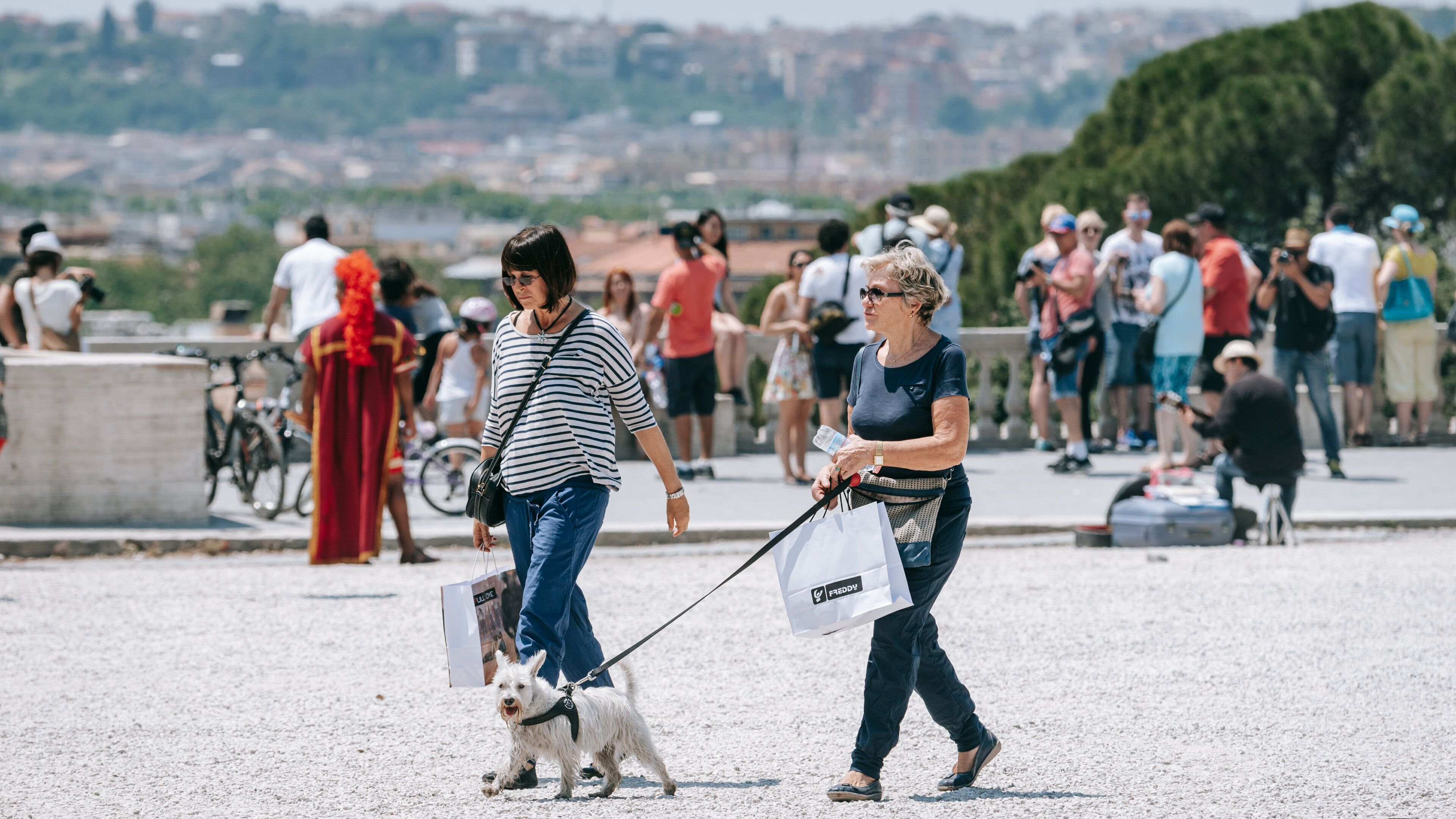 Pincio showing street scenes and cuddly or friendly animals as well as a couple