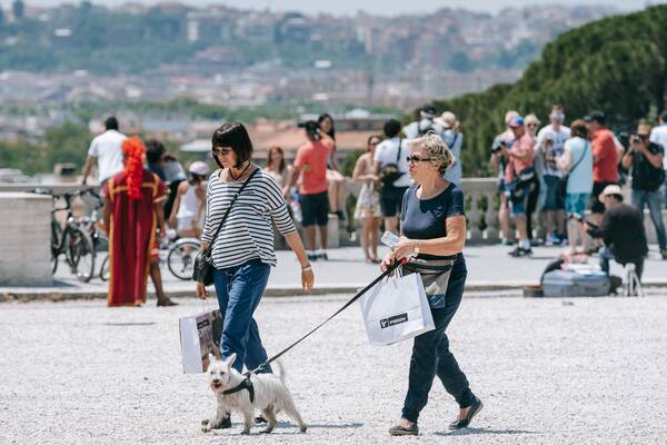 Pincio showing street scenes and cuddly or friendly animals as well as a couple