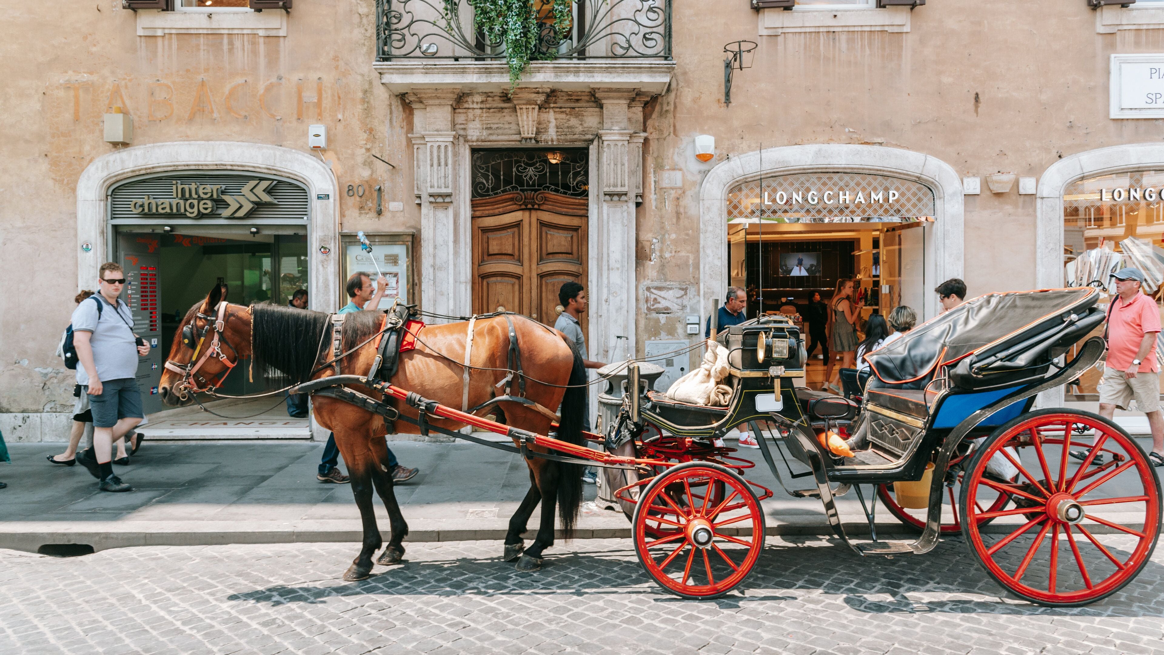 Via del Babuino featuring horseriding, land animals and street scenes