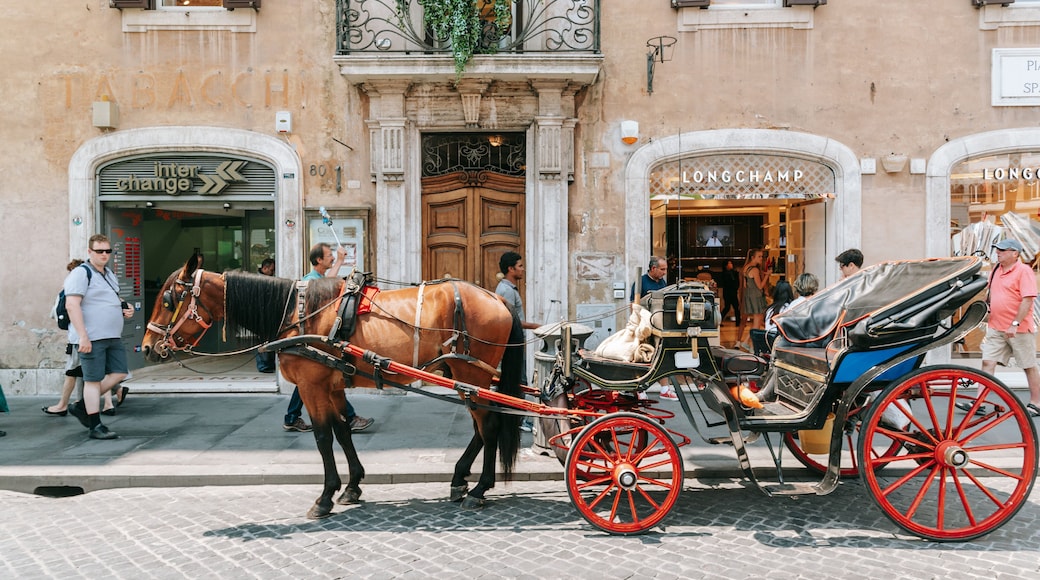 Via del Babuino featuring horseriding, land animals and street scenes