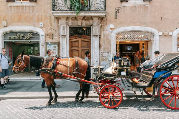Via del Babuino featuring horseriding, land animals and street scenes