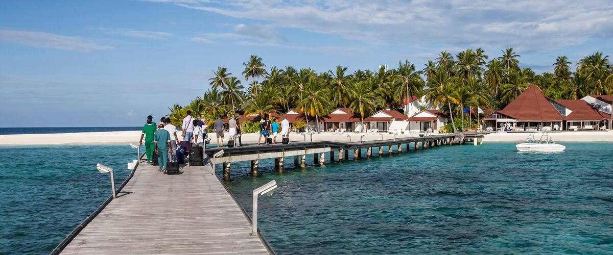 A wooden pier extending into turquoise waters, lined with palm trees and overwater bungalows.