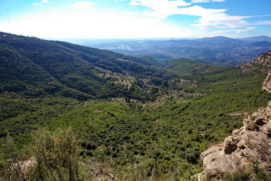 Torrent del Pollancre vist des del Grau Mercader als Cingles de Bertí-Serralada prelitoral. l'Ametlla del Vallès-Montmany-Bigues (Vallès Oriental, Catalunya)