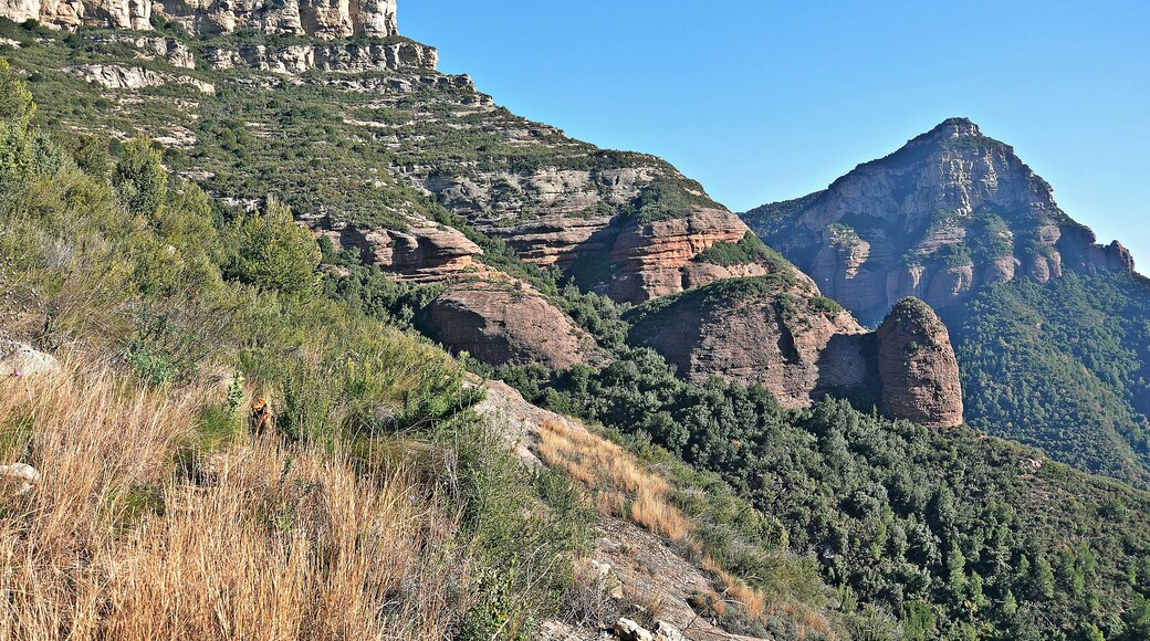 bigues i riells-valles oriental