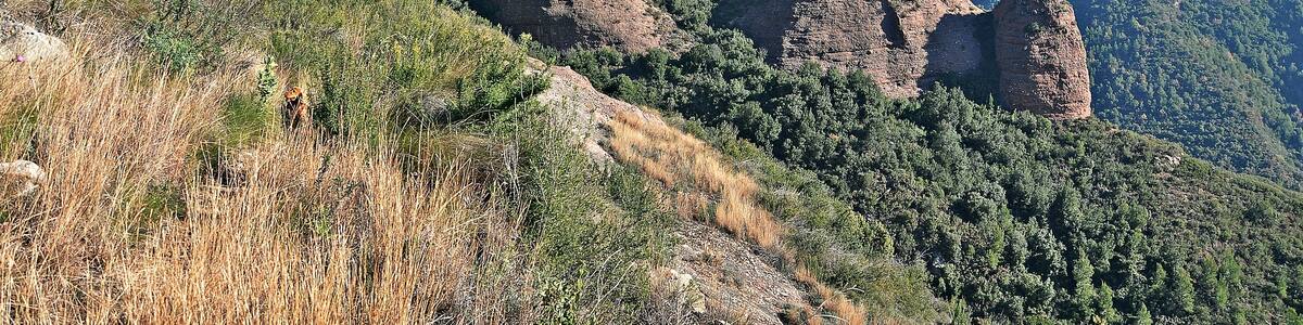 bigues i riells-valles oriental