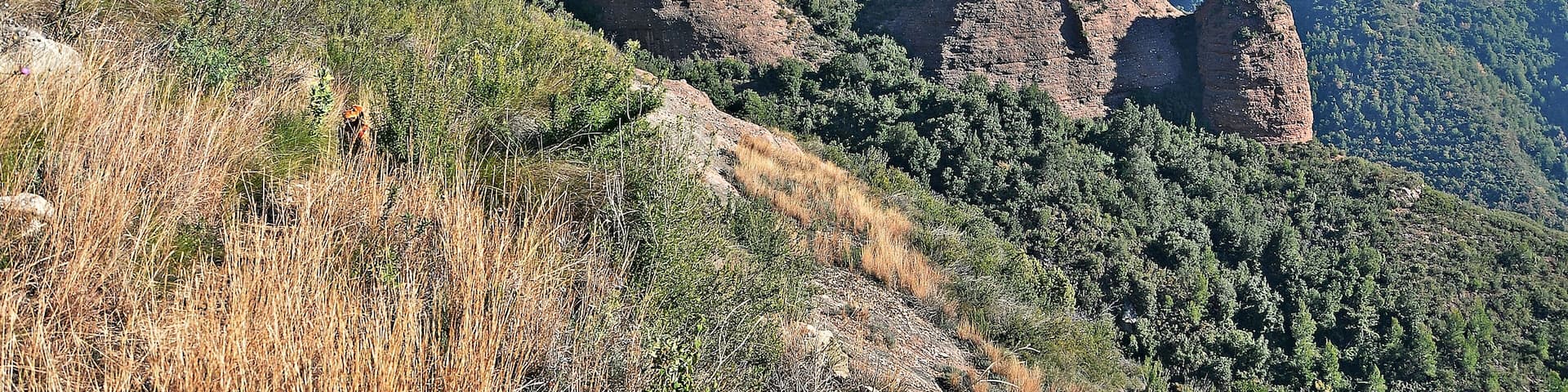 bigues i riells-valles oriental