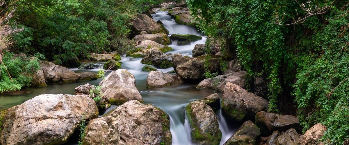 A flowing river with large rocks and dense green foliage.