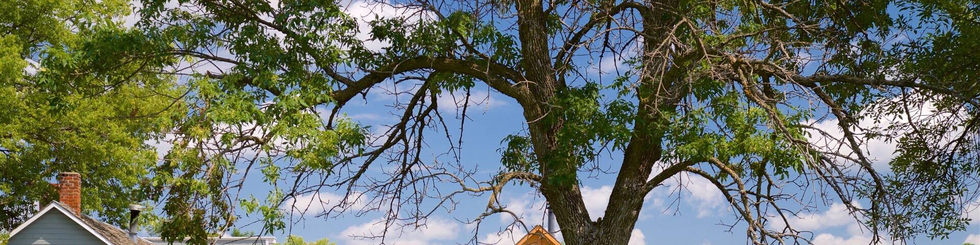 Stuhr Museum of the Prairie Pioneer which includes a house