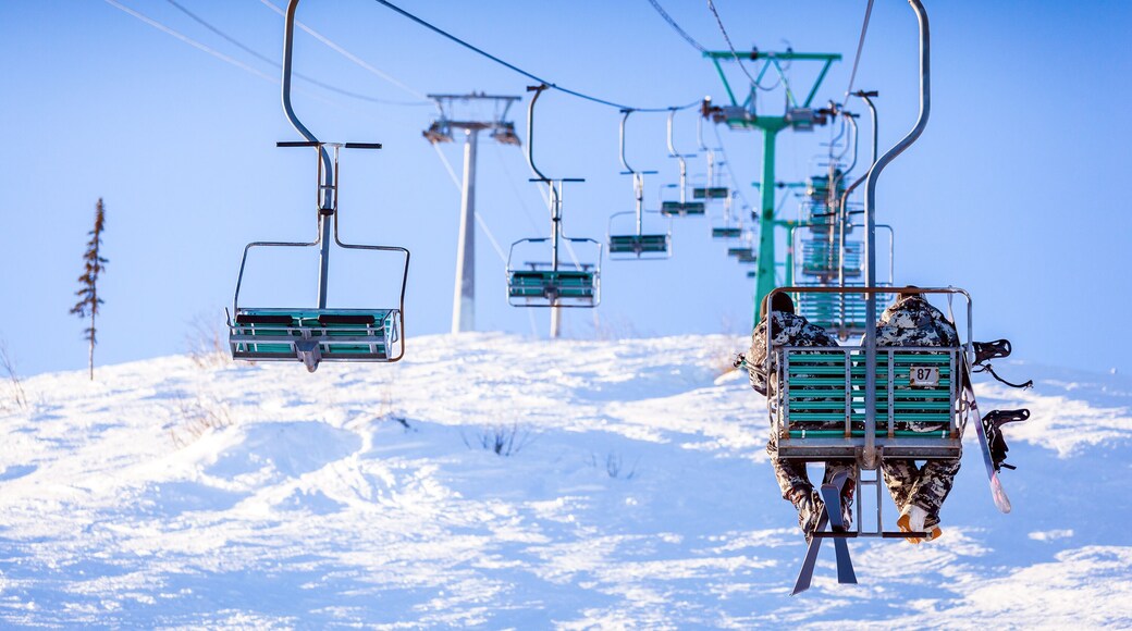 Two men skiers in warm clothes and with mountain skis climb up the ski lift up the mountain in a ski resort on a winter warm day, the back view