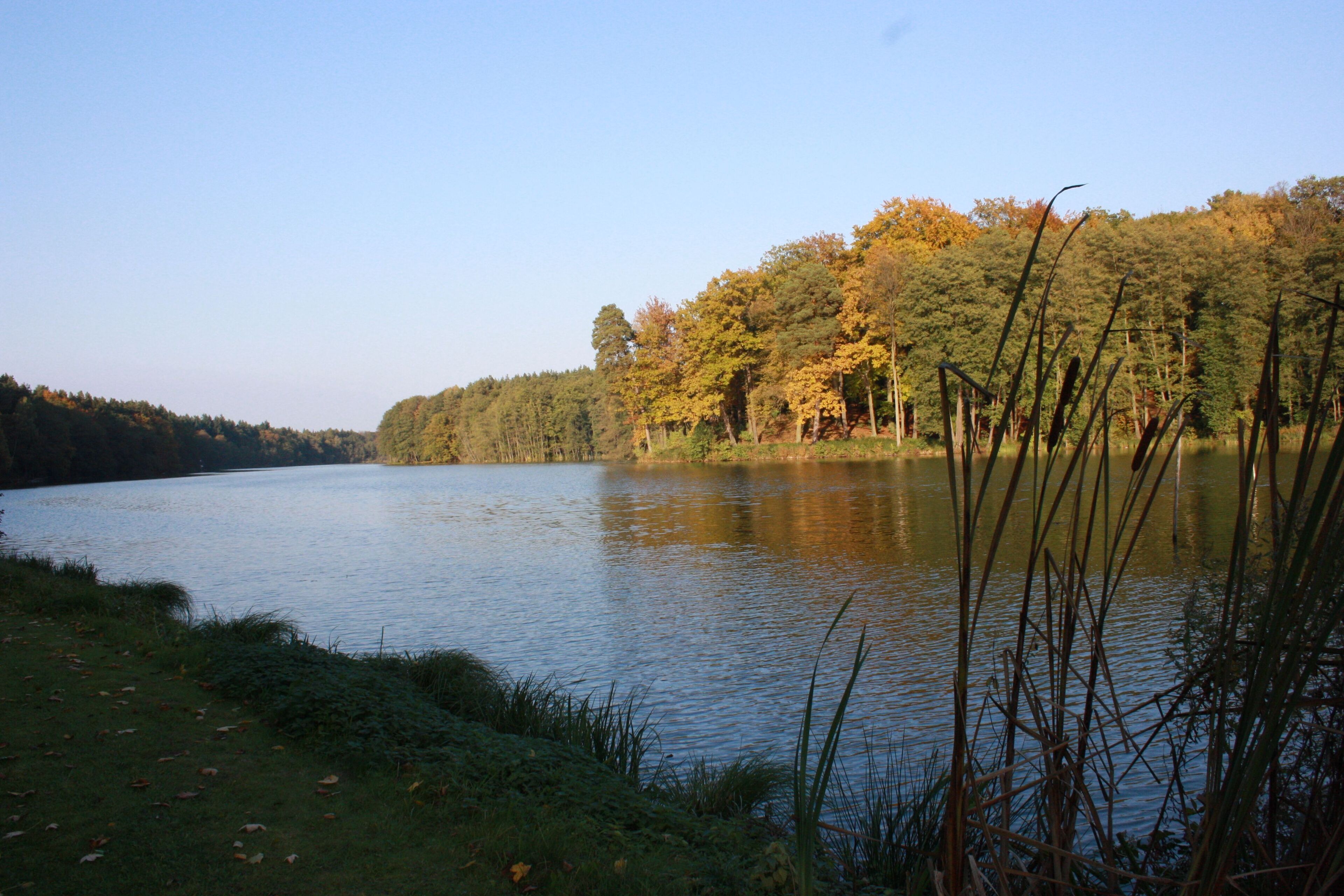 Herbstlicher Rundwanderweg Madlitzer See 32