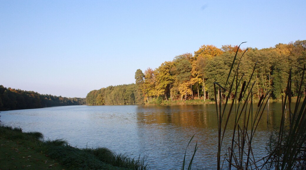 Herbstlicher Rundwanderweg Madlitzer See 32