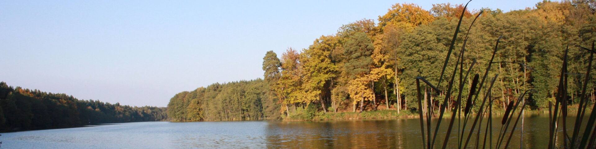 Herbstlicher Rundwanderweg Madlitzer See 32