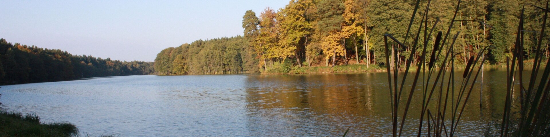 Herbstlicher Rundwanderweg Madlitzer See 32