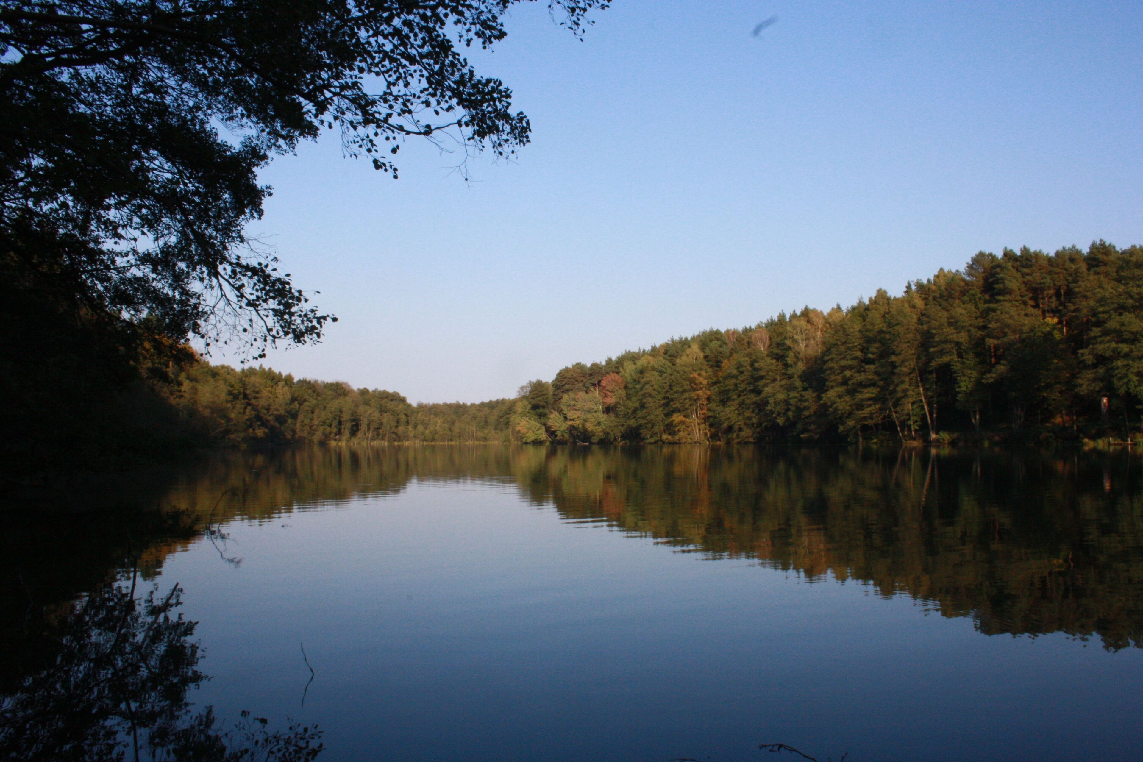 Herbstlicher Rundwanderweg Madlitzer See 27