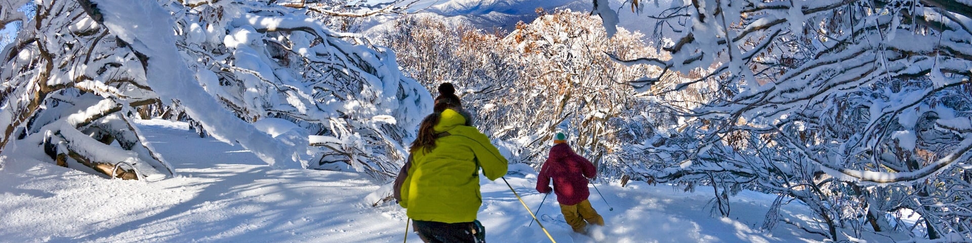 Mt. Buller Ski Slopes featuring forest scenes, snow skiing and snow