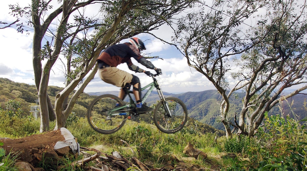 FjelletBuller skiløyper som inkluderer fjell og terrengsykling i tillegg til en mann