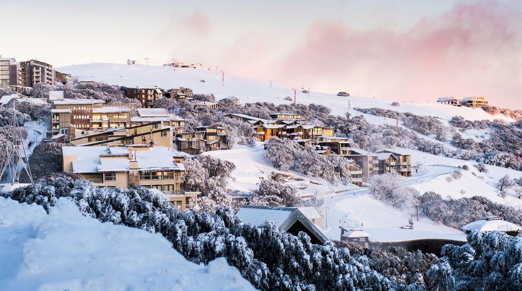 Mt. Buller Ski Slopes featuring a small town or village and snow