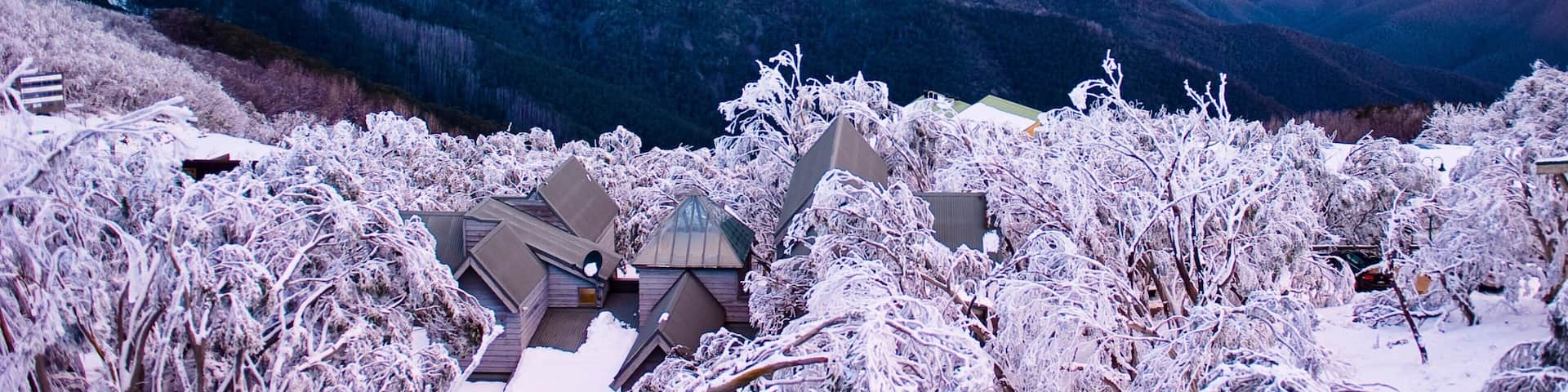 Mt. Buller Ski Slopes showing mountains, a sunset and snow