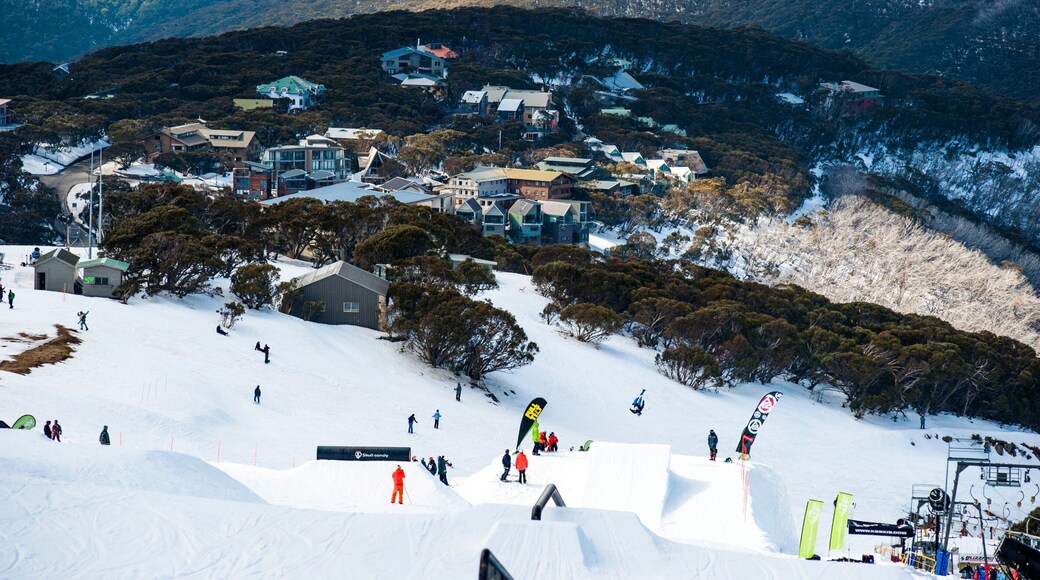 Mt. Buller Ski Slopes featuring a small town or village, snow and mountains