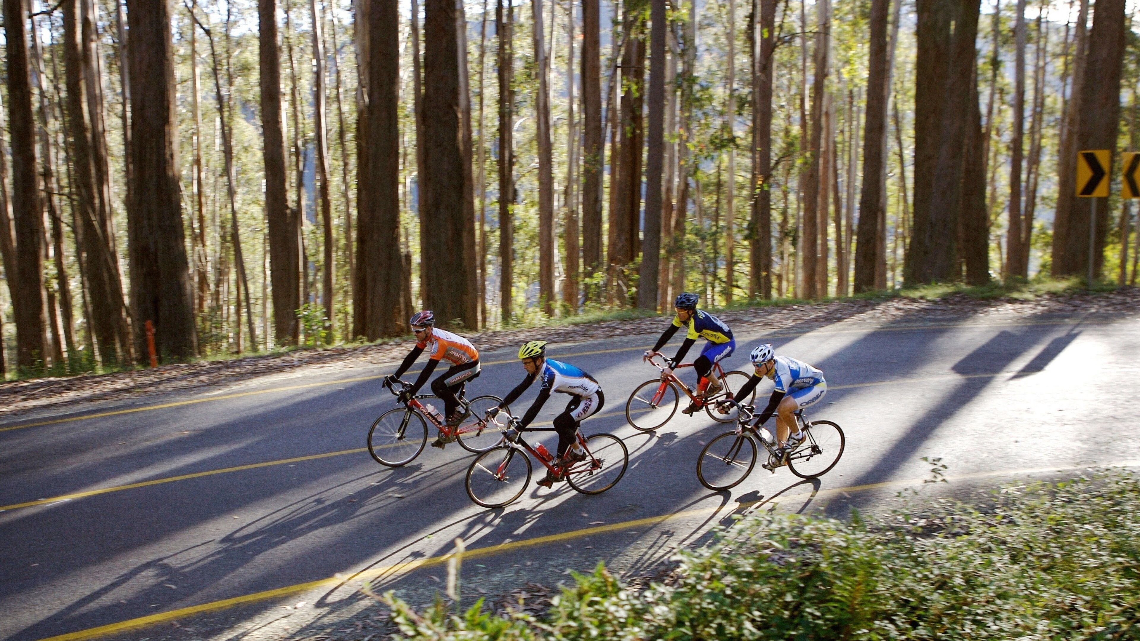 Mt. Buller Ski Slopes showing mountain biking and road cycling as well as a small group of people