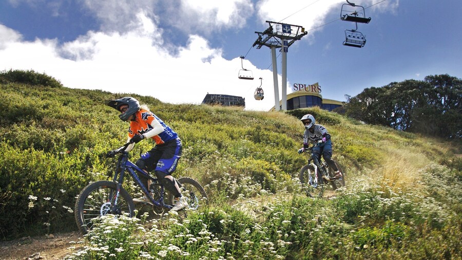 Mt. Buller Ski Slopes showing a gondola and mountain biking