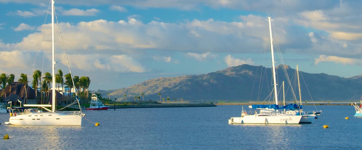 A marina with several sailboats, palm trees, and a mountainous backdrop.