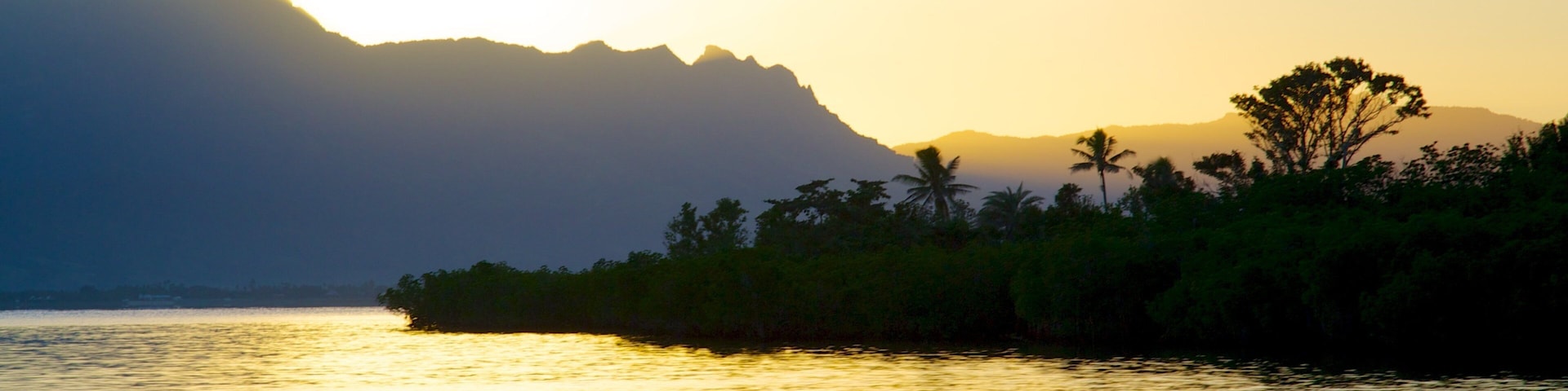 ํฌํธ ๋ฐ๋๋ผ์ฐ ์ ํน์ง ์ผ๋ชฐ ๊ณผ ์ผ๋ฐ ํด์ ์ ๊ฒฝ