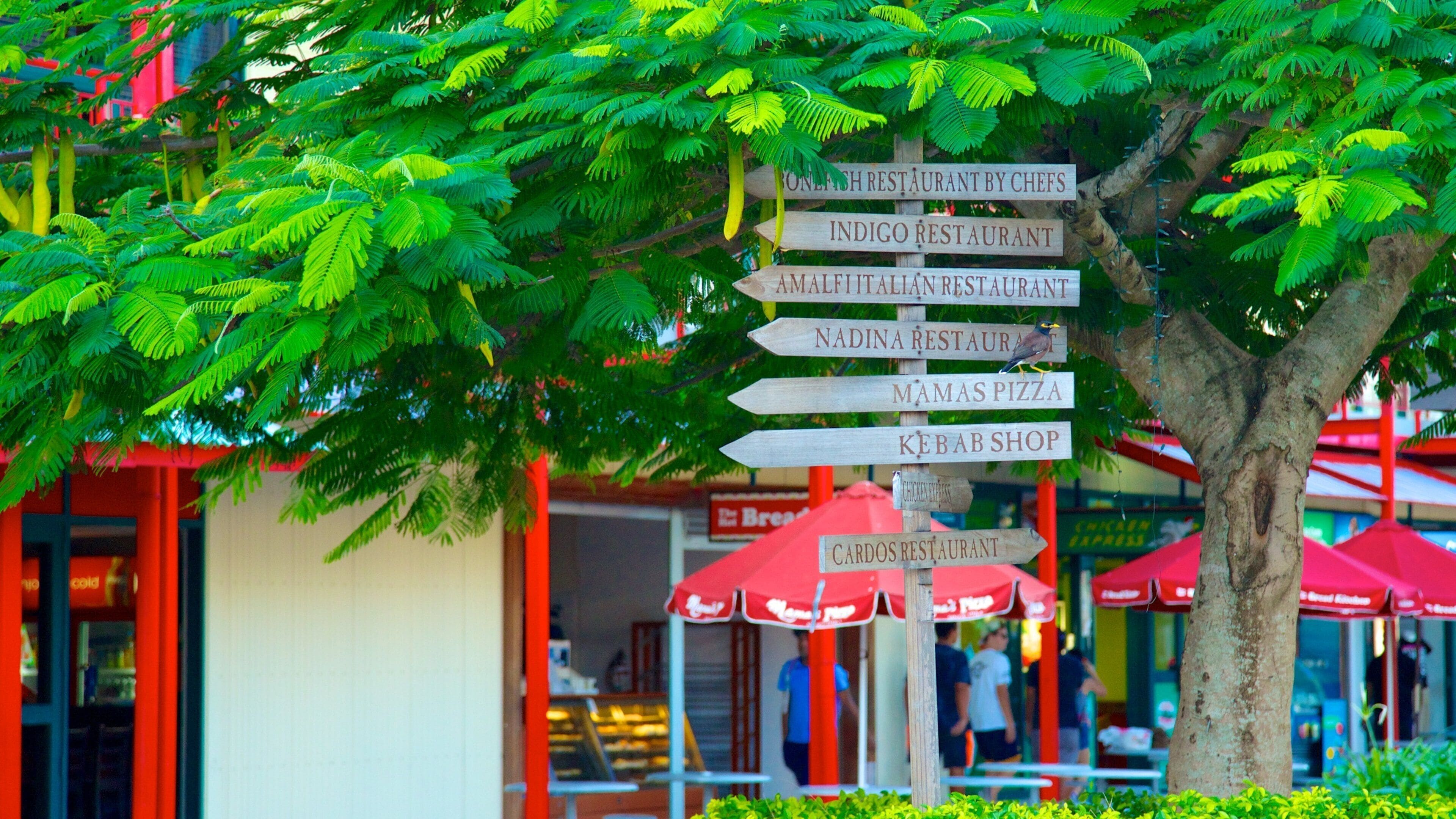 Port Denarau showing street scenes and a city