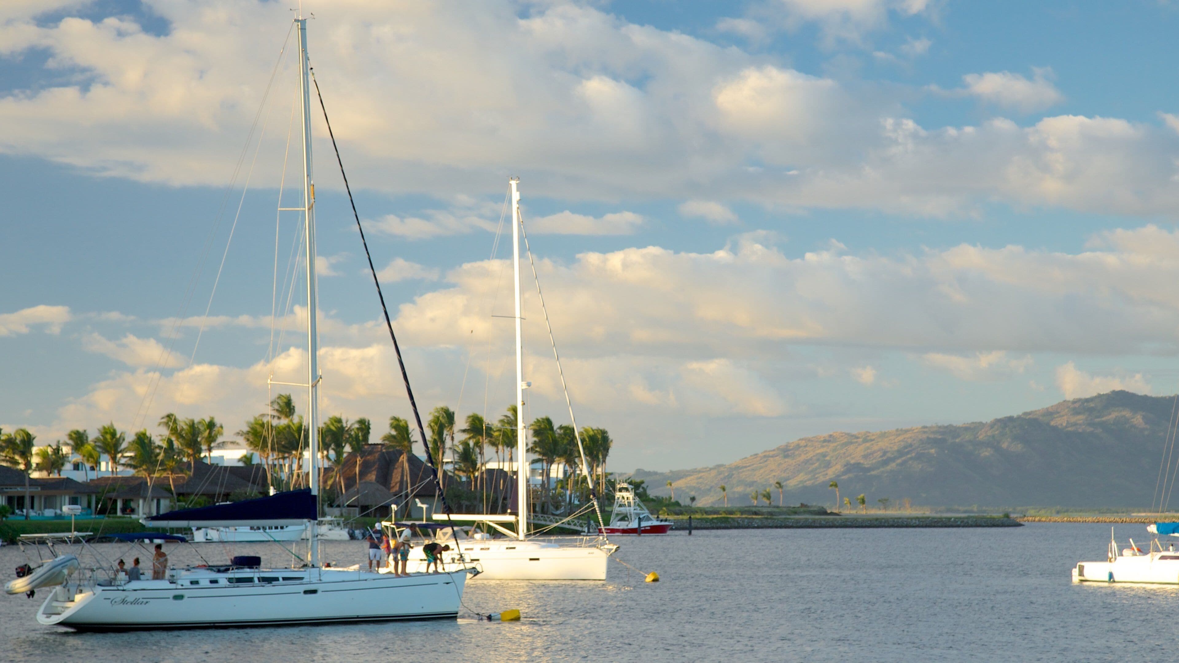 A marina with sailboats, palm trees, and a mountainous landscape in the background.