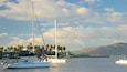 A marina with sailboats, palm trees, and a mountainous landscape in the background.