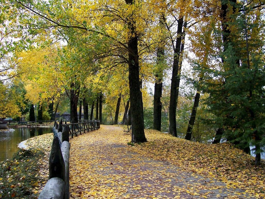 Otoño en El Parque (Guardo)