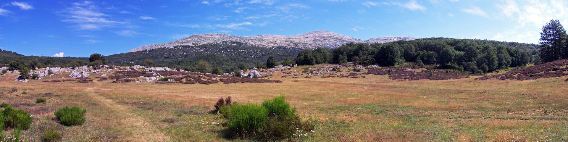Campos de la Peña (Guardo)