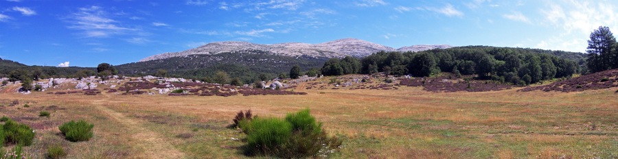 Campos de la Peña (Guardo)