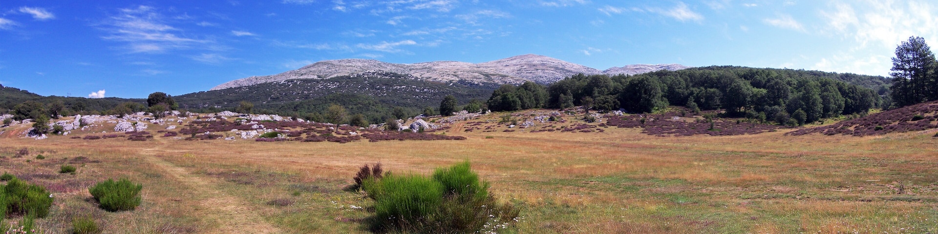Campos de la Peña (Guardo)