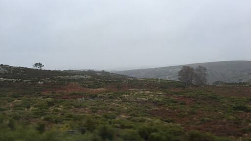 Uma das lindas paisagens do Norte de Portugal, perto do Restaurante " O Ferrador" conhecido pelo melhor cozido à portuguesa de Portugal. / one of the Beautiful landscapes of the north of Portugal , near REstaurant " O Ferrador" , known for the best "Cozido à Portuguesa" (portuguese tipic Dish) of Portugal. #Portugal #nortede Portugal #northofPortugal #OFerrador # restaurant # restaurante #cozidoaportuguesa #paisagem #landscape