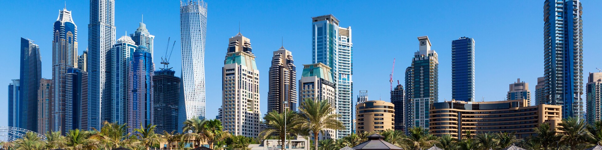 Praia com palmeiras e um horizonte urbano com edifícios altos.